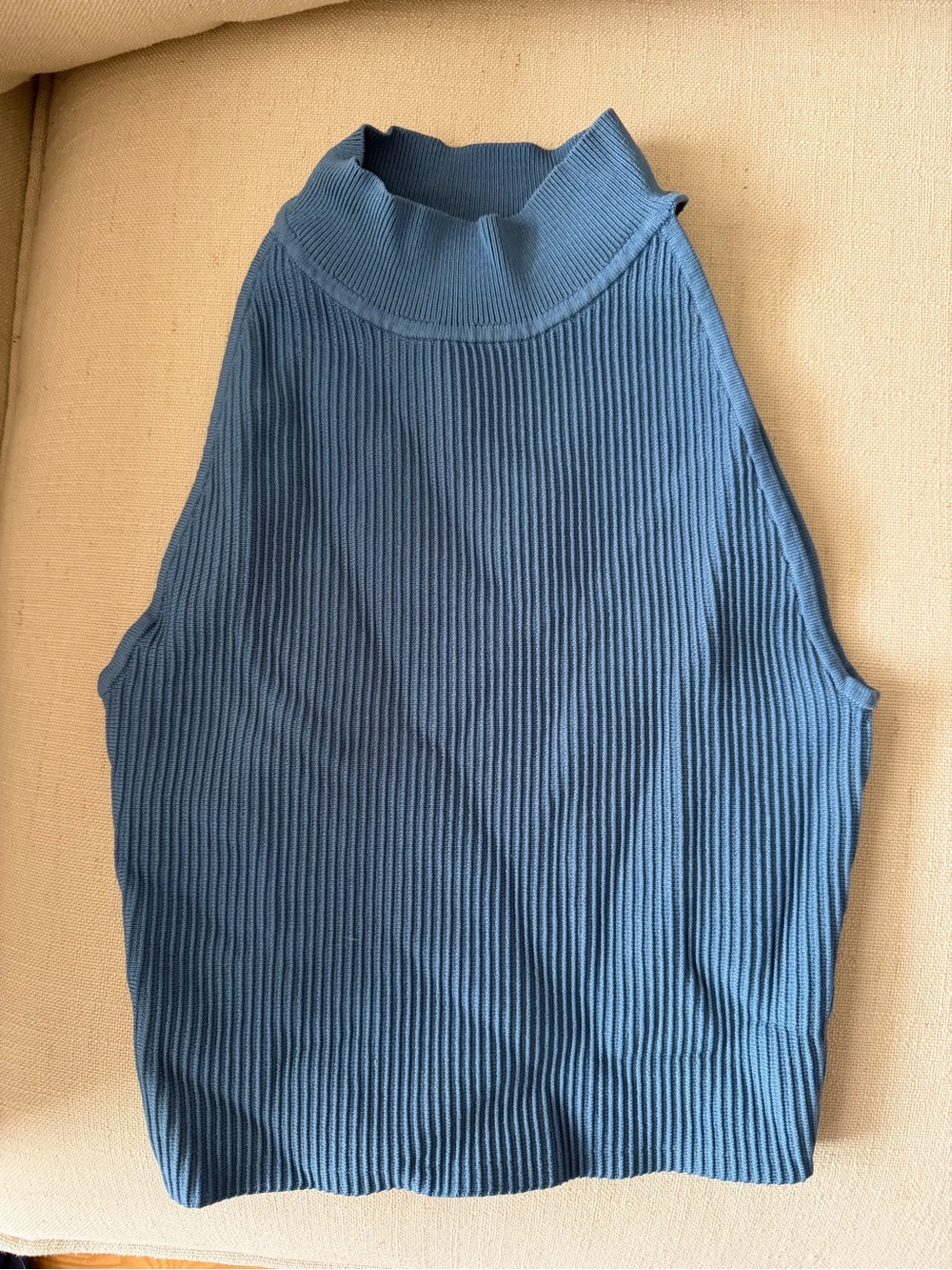 Aritzia Babaton Ribbed Mock Neck Tank - Slate Blue